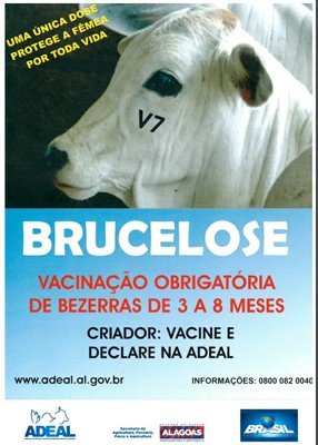 CAMPANHA DE VACINAÇÃO CONTRA FEBRE AFTOSA 2019